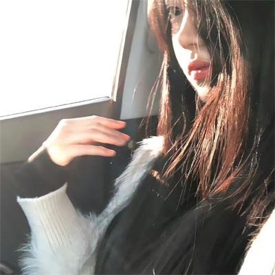礼貌社会